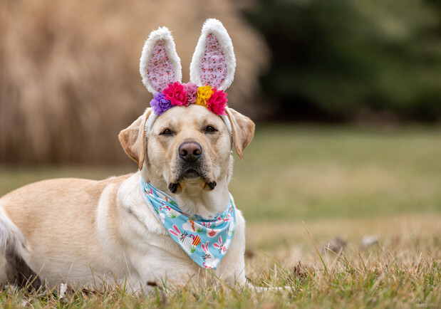 Апрель 2026: календарь выходных и рабочих дней в Украине – Киев Vgorode.ua