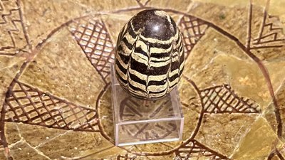 В “Софії Київській” виставили давню писанку-калатало 12 століття з Київської області.