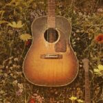 Американская кантри музыка от The Cherrypickers – Выступления Киев Vgorode.ua