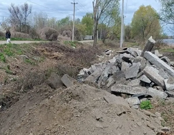 У Києві зафіксовано масштабне знищення дерев у заповіднику «Озеро Заплавне» (фотозвіт)