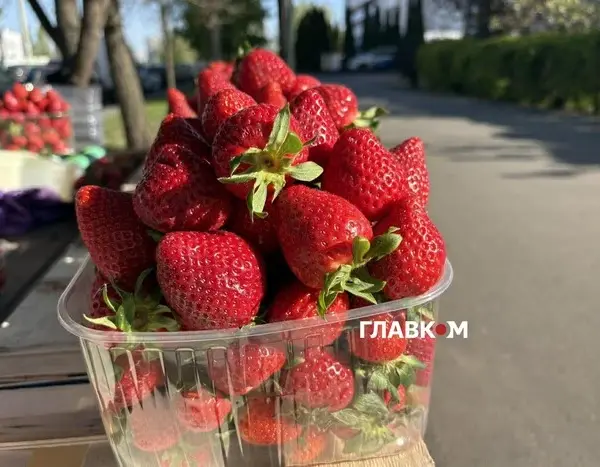 У Києві продають закарпатську суницю: ціна за кіло першої ягоди