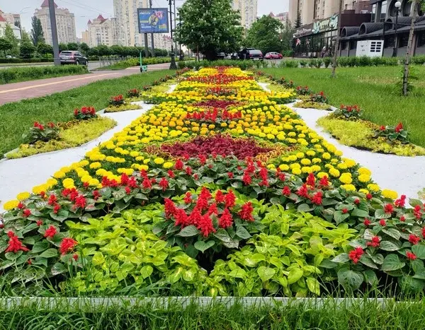 Квіткове обличчя народу: до Вишиванкового дня київські озеленювачі змайстрували особливі квітники