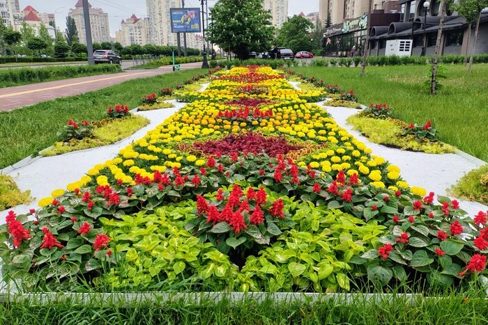 Квіткове обличчя народу: до Вишиванкового дня київські озеленювачі змайстрували особливі квітники