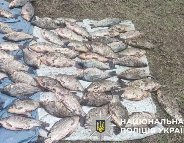 На Київщині арештовано рибного злочинця з чималим виловом (фото)