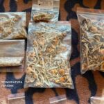 У столиці викрили організатора вечірок, який продавав наркотичні речовини у…