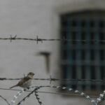 У столиці чоловіка засудили до десятирічного позбавлення волі за зґвалтування…