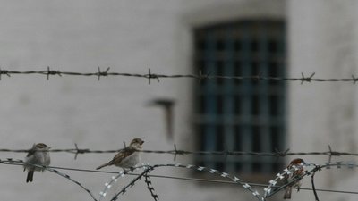 У столиці чоловіка засудили до десятирічного позбавлення волі за зґвалтування двох неповнолітніх.…