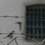 Киянку засудили на 10 років за вбивство знайомого