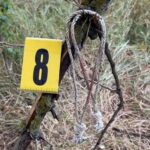 Напад на київського ді-джея: затримано трьох зловмисників