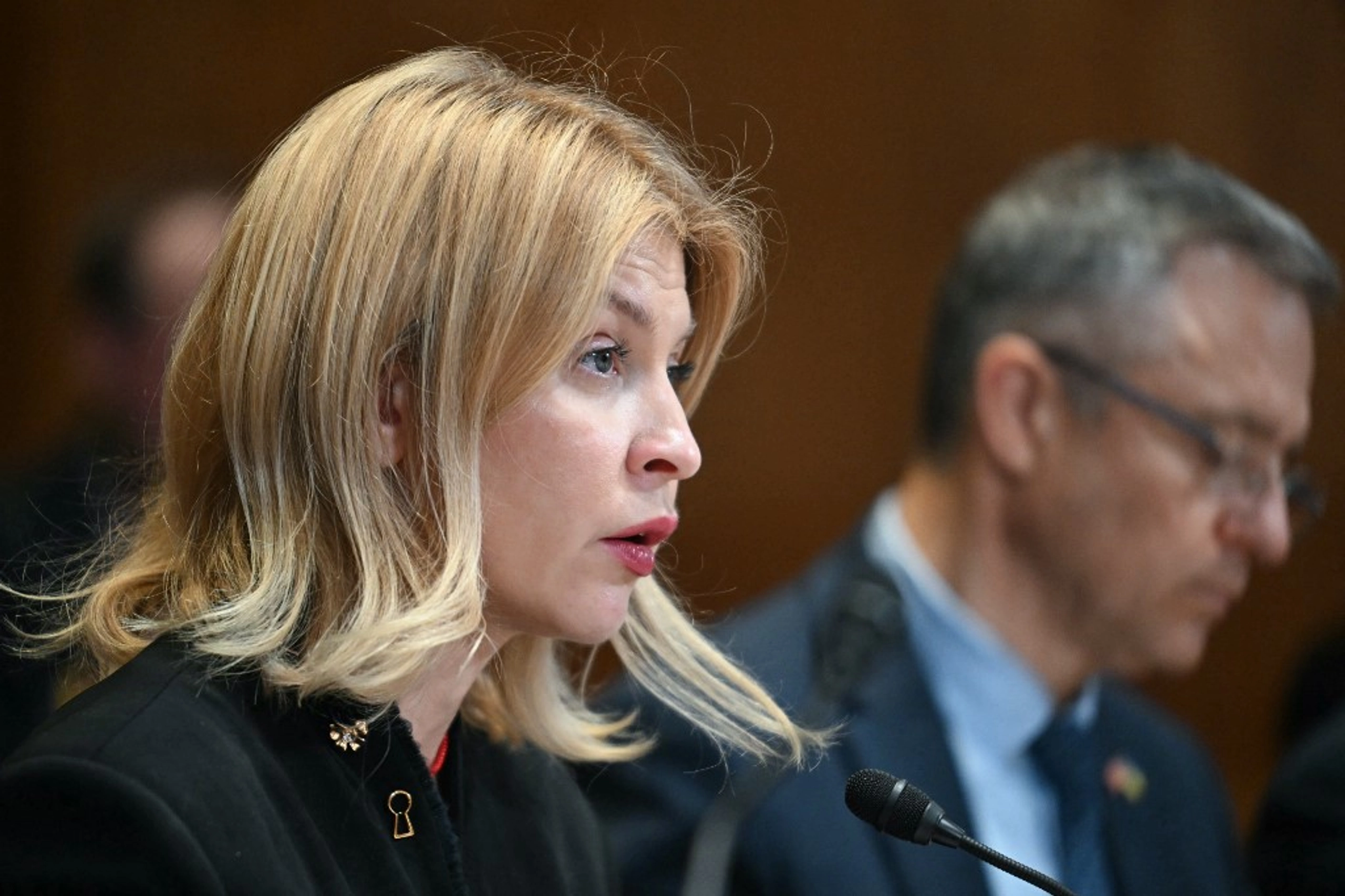Колишня посол України в США Ольга Стефанішина