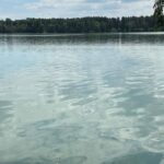 Посадовця Київпастрансу судитимуть за загибель риби на озері «Алмазне»