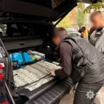 Прикривали нелегальну міграцію: у Києві викрито шахрайку з університету