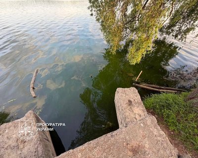 Сліди забруднення на березі озера