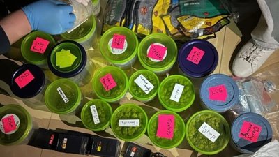 Вилучені наркотики на чорному ринку коштують понад 10,5 мільйонів гривень